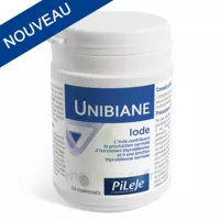 Pileje Unibiane Iode 120 Comprimés à LA-RIVIERE-DE-CORPS